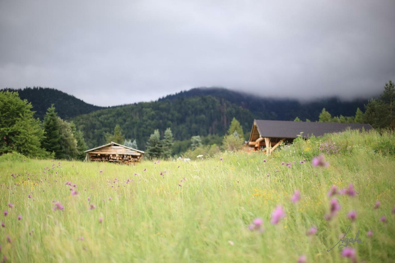 Apartament Krolewski Superior Z Sauna Zakopane Luaran gambar
